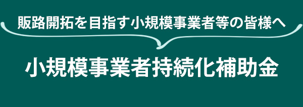 小規模事業者　補助金